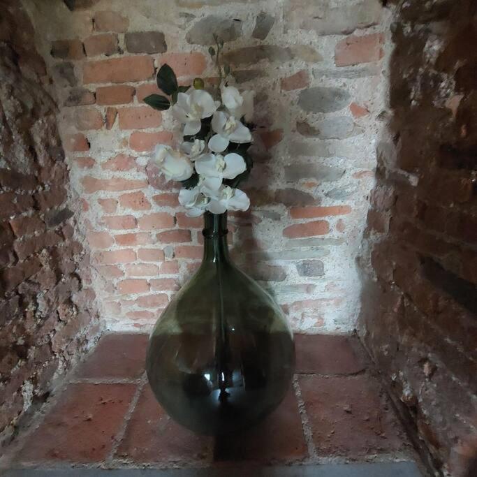 Ferienwohnung Istanti - Rosmarino Costigliole Saluzzo Exterior foto